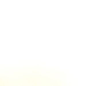 Meet your Posher, Yuma